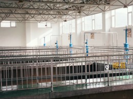 雙獎加身載譽前行 我司獲評新疆輪臺機場項目優質合作企業